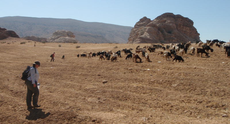 Archeologists do a ground survey near Petra